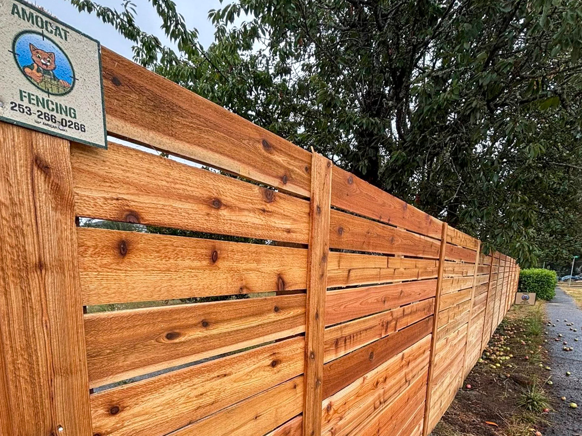 fence